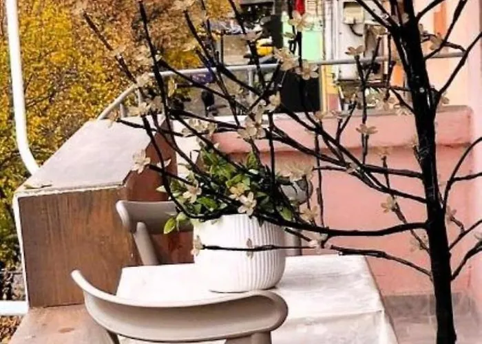 Papu's Center * Tirana